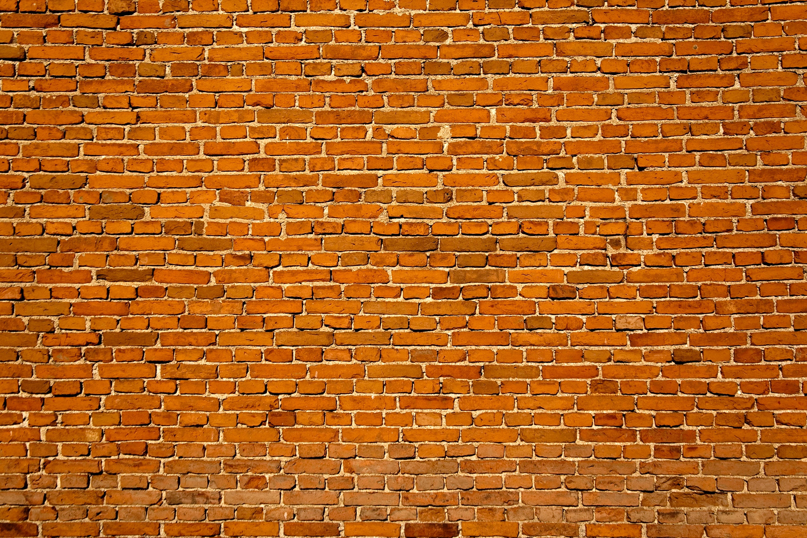 Brick Wall